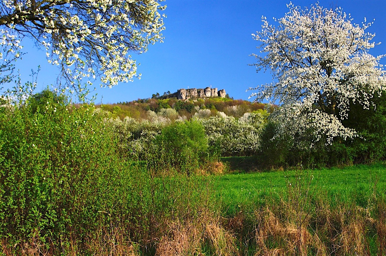 Naturfotografie Staffelberg im Frühjahr